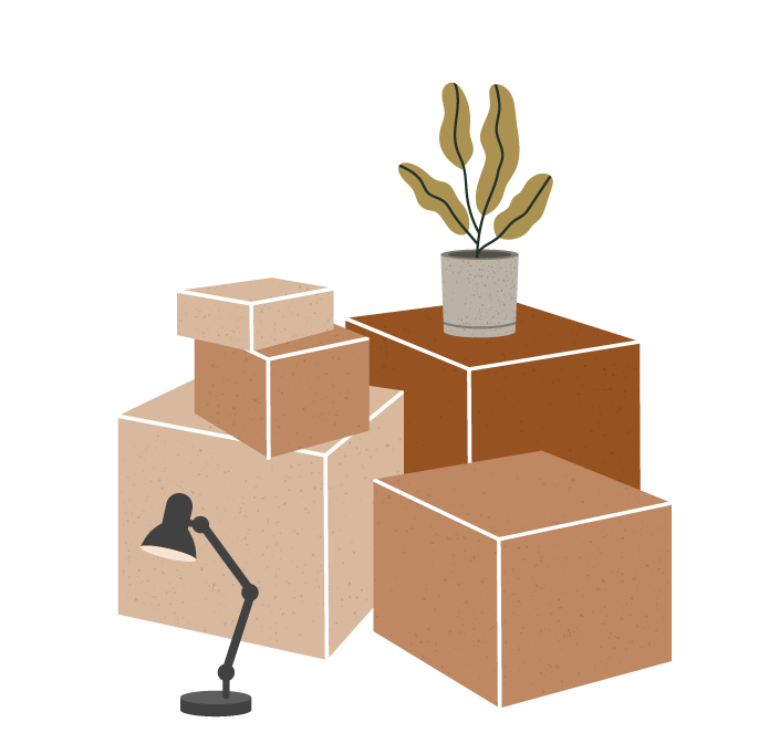 dessin d'une pile de cartons, d'une plante et d'une lampe